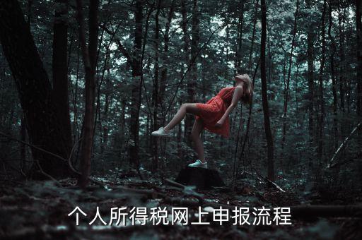 個人所得稅網上申報流程