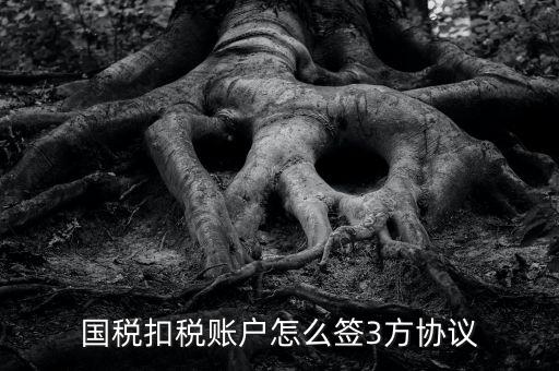 如何簽訂國(guó)稅扣款協(xié)議書(shū)，廣州企業(yè)怎么簽訂扣稅協(xié)議