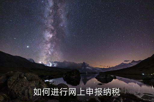 如何設(shè)置稅務(wù)網(wǎng)站，如何進(jìn)行網(wǎng)上申報納稅