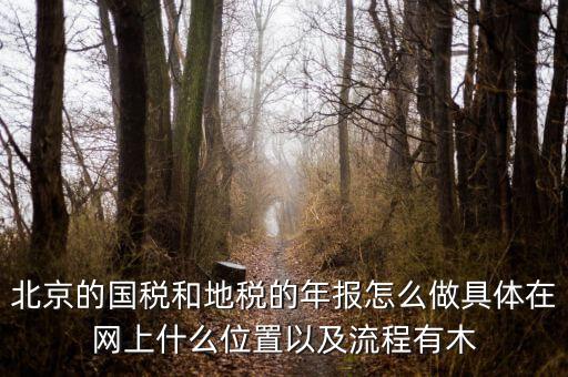 北京的國稅和地稅的年報怎么做具體在網上什么位置以及流程有木