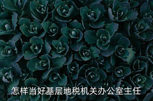 稅務(wù)部門(mén)如何抓好主體責(zé)任，如何做好稅收法規(guī)工作