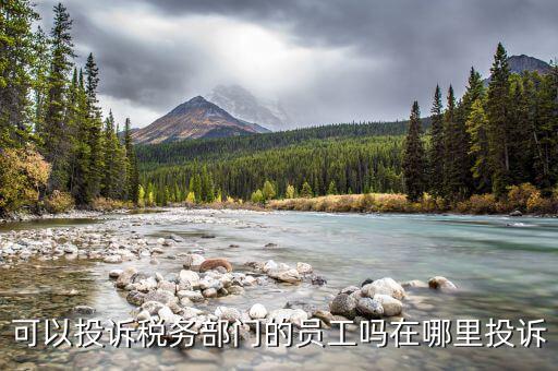 如何投訴國(guó)稅工作人員，怎么投訴怎么投訴國(guó)稅