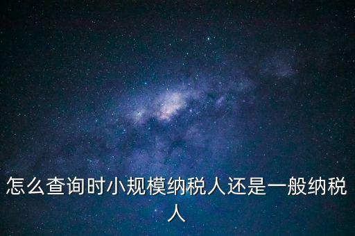 電子稅務(wù)局如何查看正常戶，怎么查詢時(shí)小規(guī)模納稅人還是一般納稅人