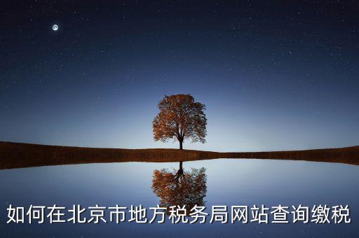 北京地稅官網(wǎng)如何注冊個人登錄，個人所得稅網(wǎng)上申報流程