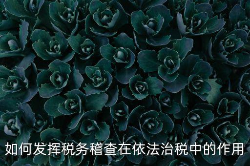 稽查部門(mén)如何優(yōu)化稅收營(yíng)商環(huán)境，如何充分發(fā)揮稽查職能作用更好服務(wù)于全省稅收征管工作發(fā)展大局