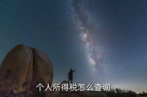 如何查詢個人稅務(wù)信息查詢，怎樣查詢個人所得稅