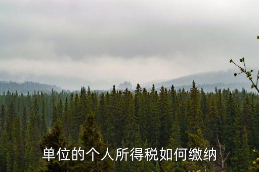 企業(yè)個(gè)人所得稅如何繳納，私營(yíng)企業(yè)職工個(gè)人所得稅如何繳納