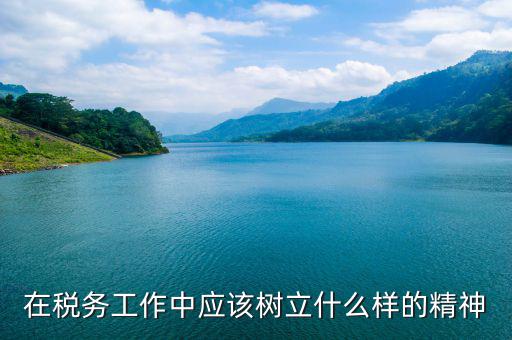 稅務干部如何踐行 安精神，在稅務工作中應該樹立什么樣的精神
