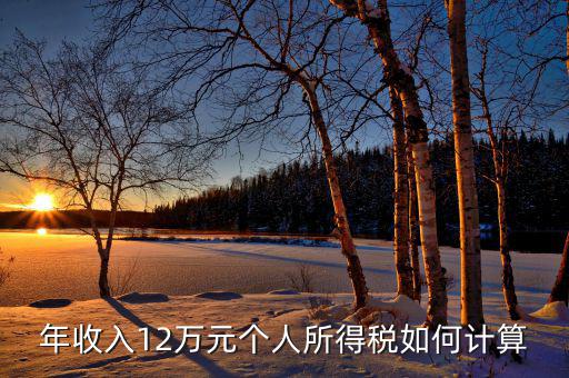 如何計算12萬申報，年收入12萬元個人所得稅如何計算