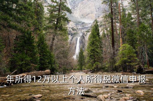 江蘇12萬元申報(bào)如何登錄申請，江蘇12萬元個(gè)人所得稅怎么申報(bào)