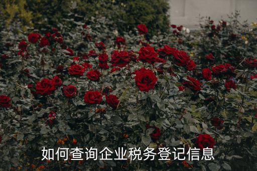如何查詢(xún)企業(yè)稅務(wù)登記信息