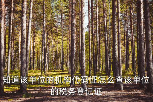 如何查企業(yè)稅務(wù)局登記，公司的稅務(wù)登記證號(hào)怎么查詢(xún)