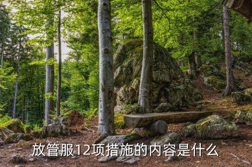 在放管服中如何加強審計稽察，放管服12項措施的內(nèi)容是什么