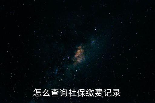 如何在地稅網(wǎng)繳納社保查詢，單位交了社保費在地稅網(wǎng)怎么查詢