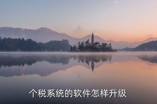 稅務(wù)系統(tǒng)如何升級(jí)1128，稅控發(fā)票開票系統(tǒng)稅控盤怎么升級(jí)