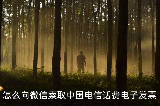 發(fā)票幫公眾號如何使用，9月1號預付微信公眾號300元9月6號收到發(fā)票要怎么做賬