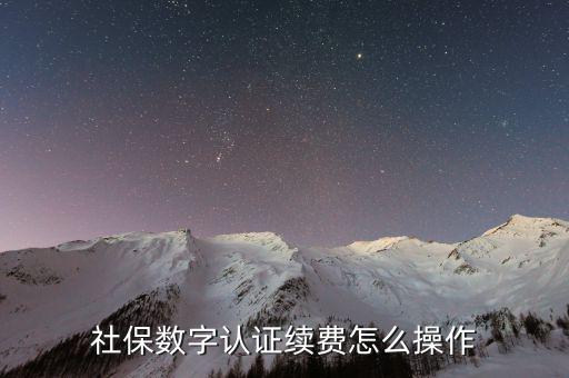 數(shù)字證書如何續(xù)費，社保和公積金的數(shù)字證書到期怎么續(xù)費啊