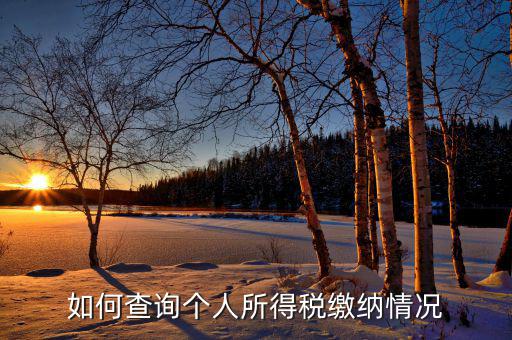 如何查詢自己交稅情況，個(gè)人繳稅記錄怎么查詢