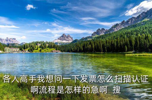 如何掃描認(rèn)證發(fā)票，各人高手我想問一下發(fā)票怎么掃描認(rèn)證啊流程是怎樣的急啊  搜