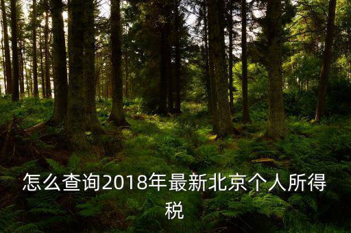 北京如何查詢(xún)個(gè)稅完稅證明，怎么查詢(xún)2018年最新北京個(gè)人所得稅