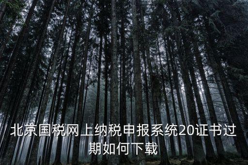 北京國稅網(wǎng)站如何更新，如何在國稅網(wǎng)上更新公司的信息