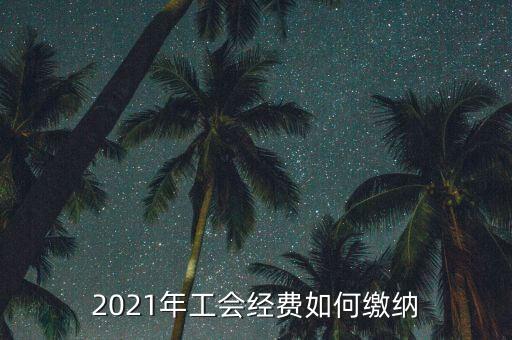 如何繳納地稅工會(huì)經(jīng)費(fèi)，工會(huì)經(jīng)費(fèi)怎么繳納在哪里交