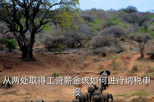 多出取得工資 如何申報(bào)個(gè)稅，個(gè)人多處取得所得如何申報(bào)繳納個(gè)稅