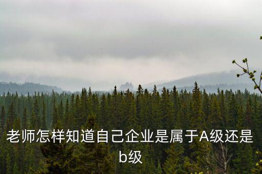企業(yè)級別如何查，企業(yè)資質(zhì)等級怎樣查