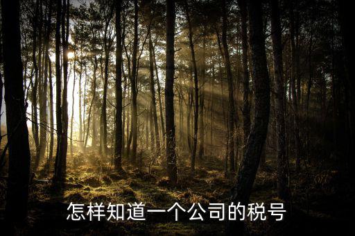單位稅號如何查詢，知道公司名字怎么查稅號嗎