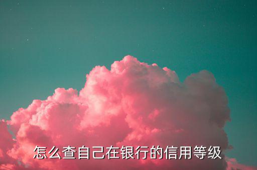如何查納稅人信用等級，如何確認企業(yè)為納稅信用A級增值稅一般納稅人