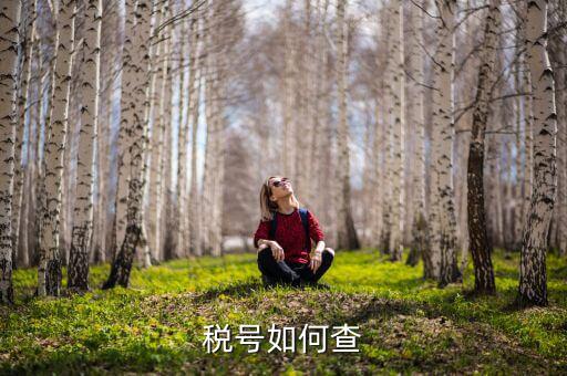 武漢如何查公司稅號(hào)，有誰知道公司名怎么查公司稅號(hào)
