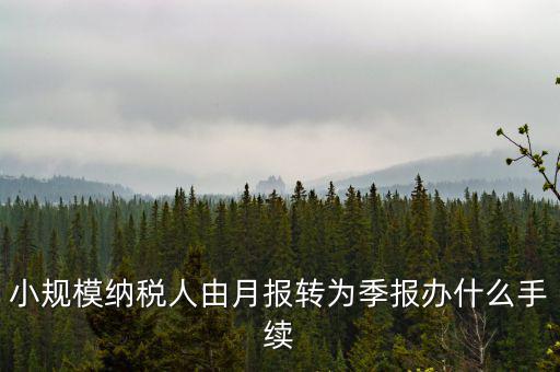 小規(guī)模附加稅如何改成按季申報，小規(guī)模納稅人增值稅按月申報可以改為按季度申報嗎