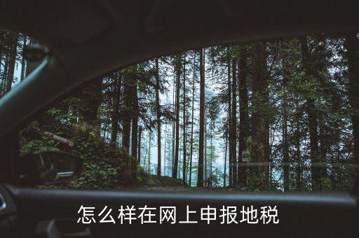 地稅網(wǎng)站如何注冊(cè)，地稅網(wǎng)上申報(bào)注冊(cè)怎么操作