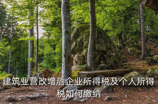 營(yíng)改增后企業(yè)所得稅如何繳納，營(yíng)改增后施工企業(yè)所得稅怎樣繳