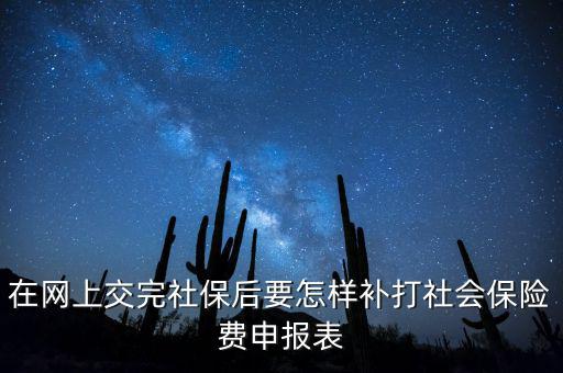 在網(wǎng)上交完社保后要怎樣補打社會保險費申報表