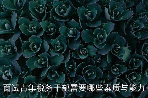 稅務(wù)年輕干部如何培養(yǎng)，面試青年稅務(wù)干部需要哪些素質(zhì)與能力
