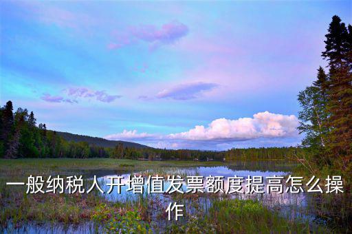 如何提高開(kāi)票限額申請(qǐng)，一般納稅人開(kāi)增值發(fā)票額度提高怎么操作