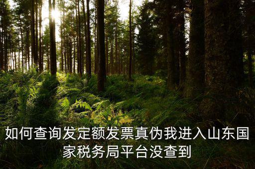 公交卡定額發(fā)票如何查詢真?zhèn)?，如何查詢發(fā)定額發(fā)票真?zhèn)挝疫M入山東國家稅務局平臺沒查到