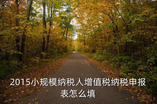 小規(guī)模納稅人國(guó)稅申報(bào)表如何填，小規(guī)模納稅人的報(bào)表怎么填
