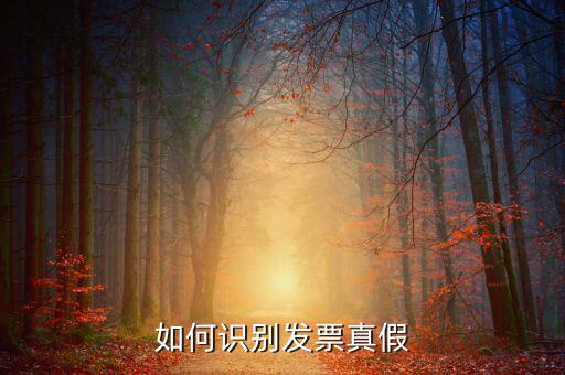 深圳國稅局發(fā)票如何查詢真?zhèn)尾樵?，如何在認證前查驗發(fā)票真?zhèn)?/></a></span><span id=