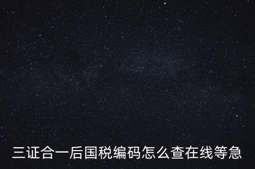 如何查詢個(gè)人稅務(wù)編號(hào)查詢系統(tǒng)，請(qǐng)問(wèn)在哪里可以查到納稅人編碼