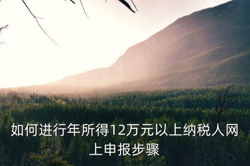 如何進(jìn)行年所得12萬元以上納稅人網(wǎng)上申報步驟