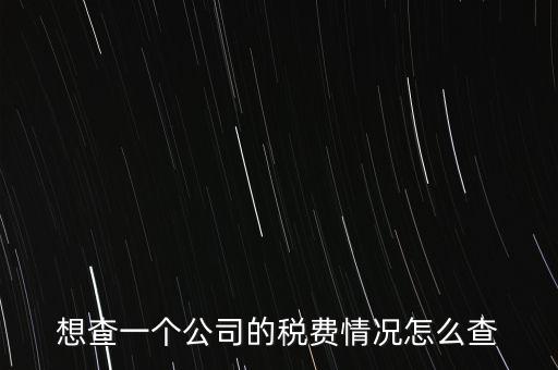 如何查詢公司納稅記錄查詢，想查一個公司的稅費情況怎么查