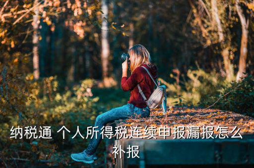 源泉扣繳如何補申報，個人所得稅代扣代繳系統(tǒng) 補申報怎樣操作