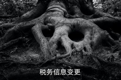 地稅如何變更人員信息查詢，浙江地稅開票軟件開票人怎么更改
