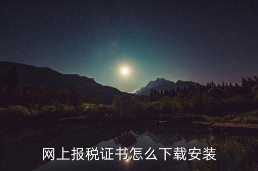如何下載電子稅務印章，網(wǎng)上報稅證書怎么下載安裝