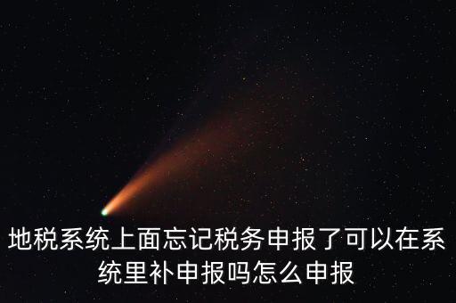 地稅如何補充申報表，地稅系統(tǒng)上面忘記稅務(wù)申報了可以在系統(tǒng)里補申報嗎怎么申報