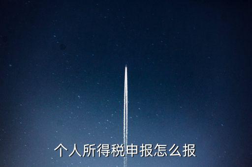 個人所得稅申報(bào)怎么報(bào)