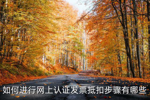 如何進行網(wǎng)上認證發(fā)票抵扣步驟有哪些