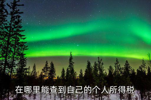 稅務(wù)如何查個稅，個稅怎么查